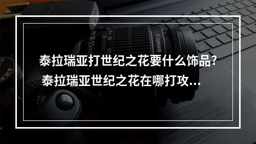 泰拉瑞亚打世纪之花要什么饰品? 泰拉瑞亚世纪之花在哪打攻略集锦