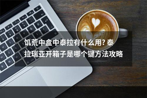 饥荒中盒中泰拉有什么用? 泰拉瑞亚开箱子是哪个键方法攻略