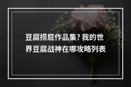 豆腐捞屁作品集? 我的世界豆腐战神在哪攻略列表