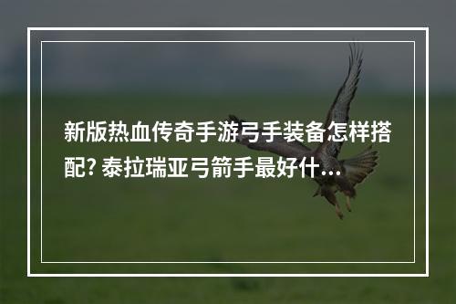 新版热血传奇手游弓手装备怎样搭配? 泰拉瑞亚弓箭手最好什么套装攻略列表