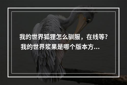 我的世界狐狸怎么驯服，在线等? 我的世界浆果是哪个版本方法攻略