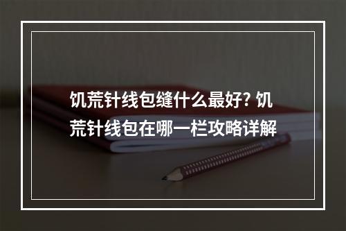 饥荒针线包缝什么最好? 饥荒针线包在哪一栏攻略详解