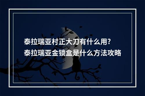 泰拉瑞亚村正大刀有什么用? 泰拉瑞亚金锁盒是什么方法攻略