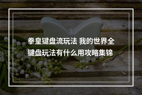 拳皇键盘流玩法 我的世界全键盘玩法有什么用攻略集锦