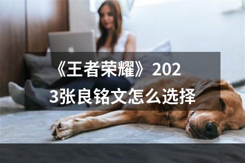 《王者荣耀》2023张良铭文怎么选择