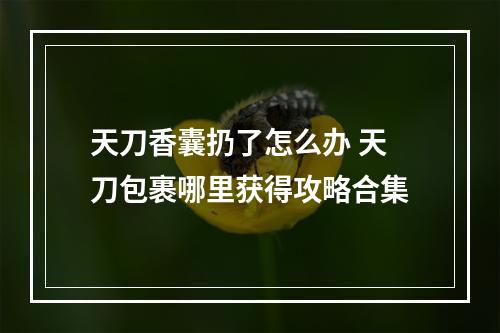 天刀香囊扔了怎么办 天刀包裹哪里获得攻略合集