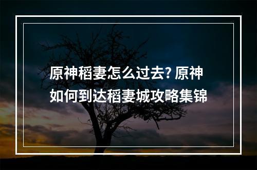 原神稻妻怎么过去? 原神如何到达稻妻城攻略集锦