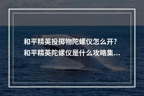 和平精英投掷物陀螺仪怎么开? 和平精英陀螺仪是什么攻略集锦