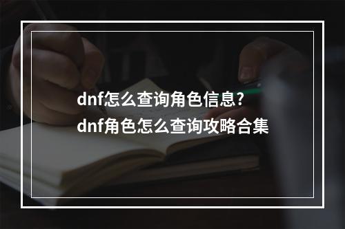 dnf怎么查询角色信息? dnf角色怎么查询攻略合集