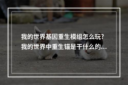 我的世界基因重生模组怎么玩? 我的世界中重生锚是干什么的攻略详情