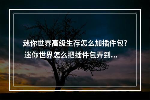 迷你世界高级生存怎么加插件包? 迷你世界怎么把插件包弄到冒险里攻略列表