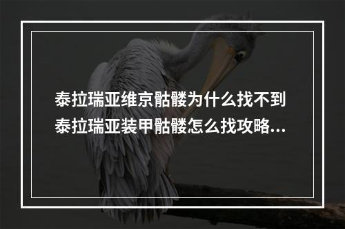 泰拉瑞亚维京骷髅为什么找不到 泰拉瑞亚装甲骷髅怎么找攻略列表