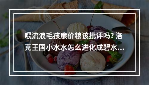 喂流浪毛孩廉价粮该批评吗? 洛克王国小水水怎么进化成碧水灵兽攻略介绍