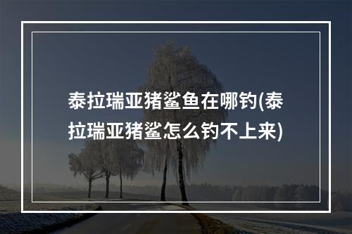 泰拉瑞亚猪鲨鱼在哪钓(泰拉瑞亚猪鲨怎么钓不上来)