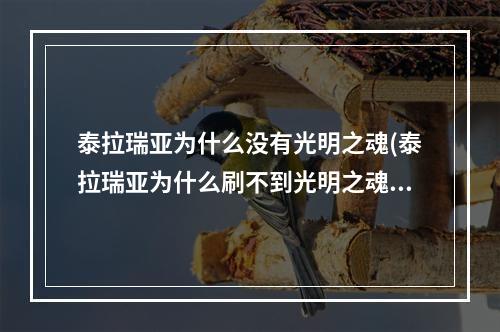 泰拉瑞亚为什么没有光明之魂(泰拉瑞亚为什么刷不到光明之魂)