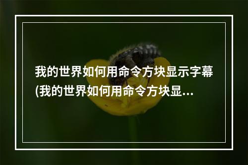 我的世界如何用命令方块显示字幕(我的世界如何用命令方块显示字幕文件)