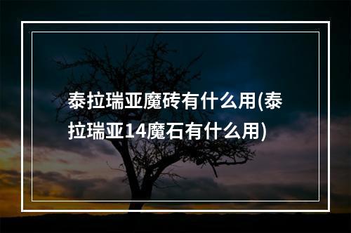 泰拉瑞亚魔砖有什么用(泰拉瑞亚14魔石有什么用)