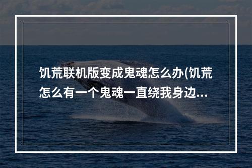 饥荒联机版变成鬼魂怎么办(饥荒怎么有一个鬼魂一直绕我身边)