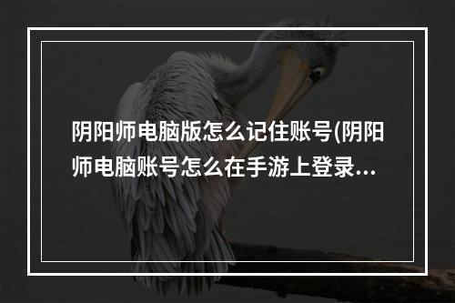 阴阳师电脑版怎么记住账号(阴阳师电脑账号怎么在手游上登录)