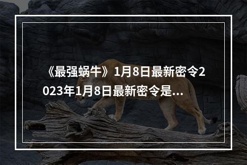 《最强蜗牛》1月8日最新密令2023年1月8日最新密令是什么