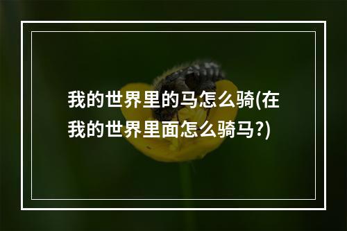 我的世界里的马怎么骑(在我的世界里面怎么骑马?)