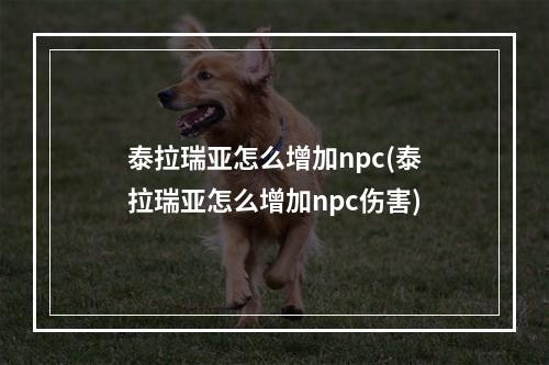 泰拉瑞亚怎么增加npc(泰拉瑞亚怎么增加npc伤害)