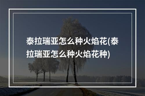 泰拉瑞亚怎么种火焰花(泰拉瑞亚怎么种火焰花种)