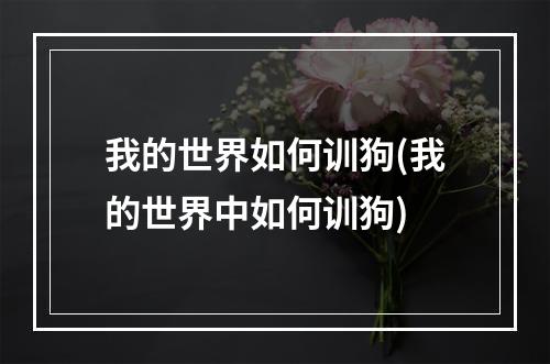 我的世界如何训狗(我的世界中如何训狗)