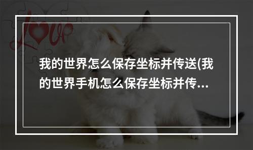 我的世界怎么保存坐标并传送(我的世界手机怎么保存坐标并传送)