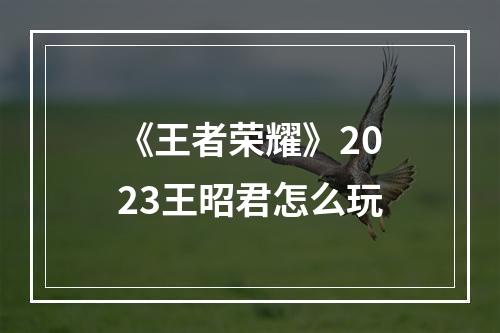 《王者荣耀》2023王昭君怎么玩