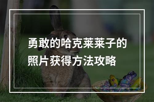 勇敢的哈克莱莱子的照片获得方法攻略