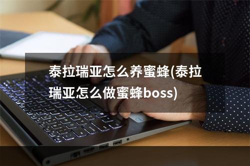 泰拉瑞亚怎么养蜜蜂(泰拉瑞亚怎么做蜜蜂boss)