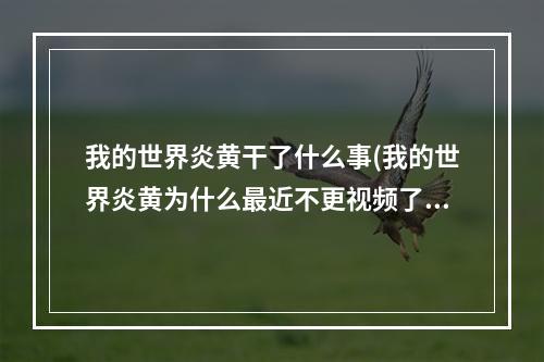 我的世界炎黄干了什么事(我的世界炎黄为什么最近不更视频了?)