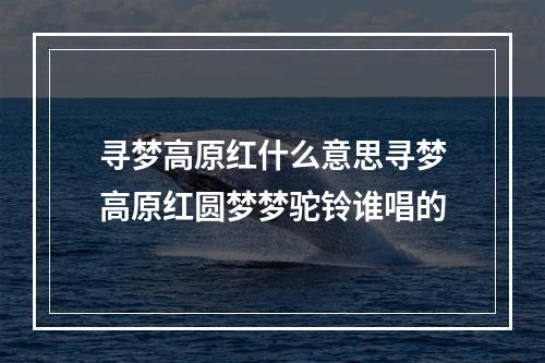 寻梦高原红什么意思寻梦高原红圆梦梦驼铃谁唱的