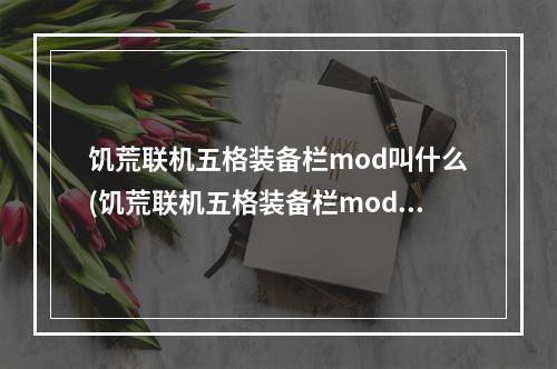 饥荒联机五格装备栏mod叫什么(饥荒联机五格装备栏mod叫什么来着)