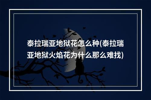 泰拉瑞亚地狱花怎么种(泰拉瑞亚地狱火焰花为什么那么难找)