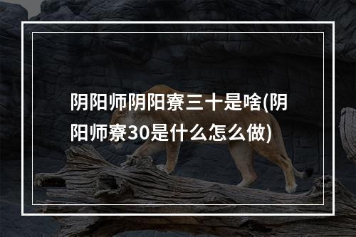 阴阳师阴阳寮三十是啥(阴阳师寮30是什么怎么做)