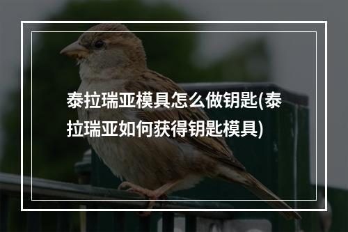 泰拉瑞亚模具怎么做钥匙(泰拉瑞亚如何获得钥匙模具)