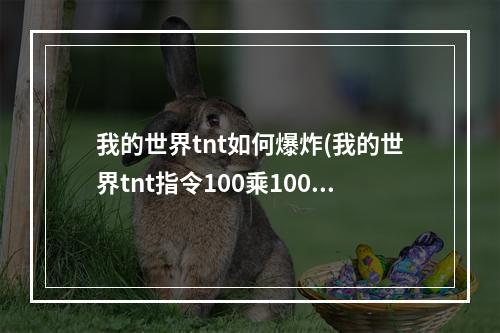 我的世界tnt如何爆炸(我的世界tnt指令100乘100)