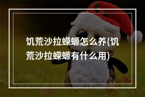 饥荒沙拉蝾螈怎么养(饥荒沙拉蝾螈有什么用)