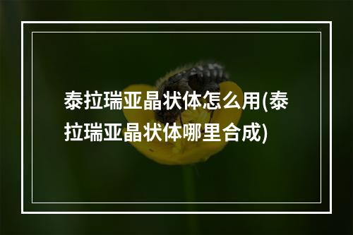 泰拉瑞亚晶状体怎么用(泰拉瑞亚晶状体哪里合成)