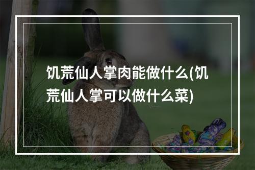 饥荒仙人掌肉能做什么(饥荒仙人掌可以做什么菜)