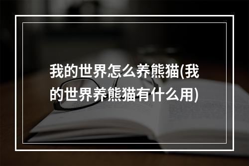 我的世界怎么养熊猫(我的世界养熊猫有什么用)