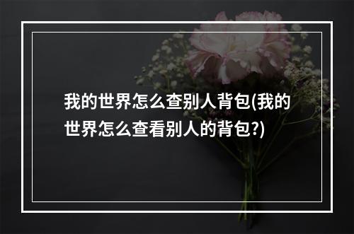 我的世界怎么查别人背包(我的世界怎么查看别人的背包?)