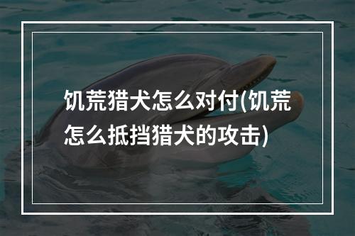 饥荒猎犬怎么对付(饥荒怎么抵挡猎犬的攻击)