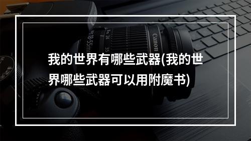 我的世界有哪些武器(我的世界哪些武器可以用附魔书)