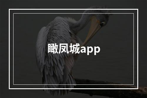 瞰凤城app