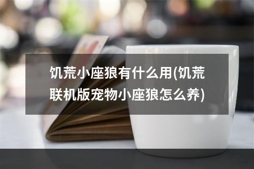 饥荒小座狼有什么用(饥荒联机版宠物小座狼怎么养)