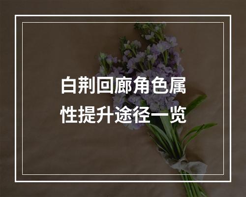 白荆回廊角色属性提升途径一览