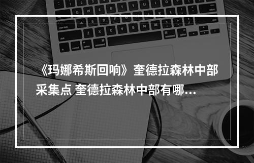 《玛娜希斯回响》奎德拉森林中部采集点 奎德拉森林中部有哪些采集点